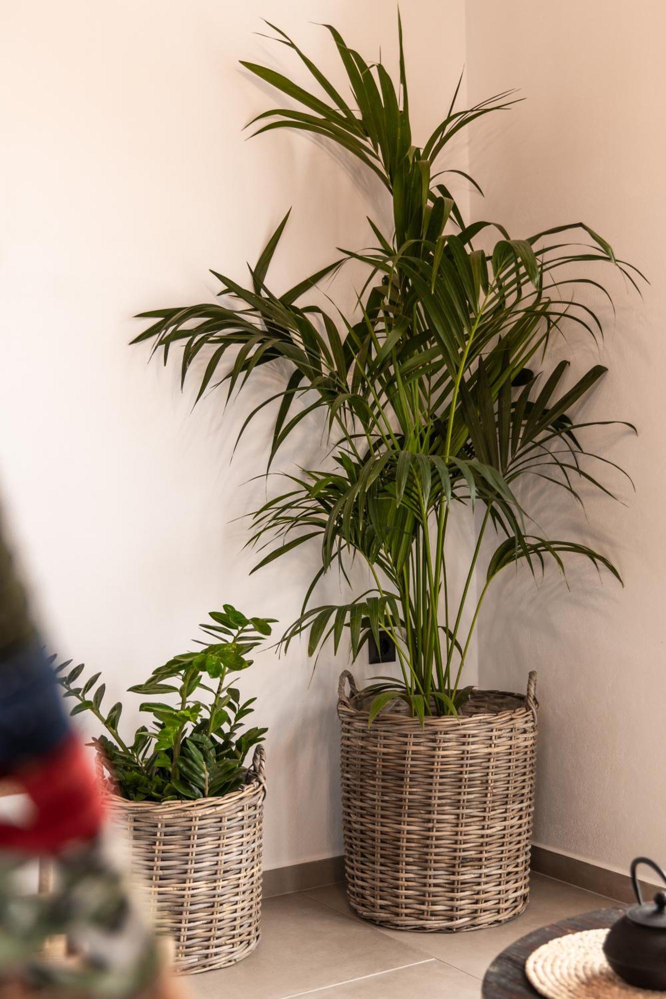 Katoikia Milos Slow Living Homes